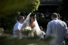 DSC2633