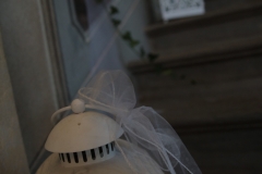 IMG_2732-e1500811312658