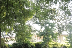 IMG_2843-e1500811161854