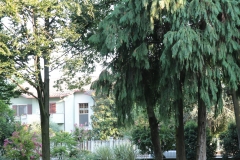 IMG_3093-e1500810446171